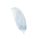 B825--SLV #4 shopify:43684674797819