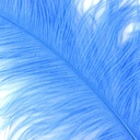 B825--SKY #2 shopify:43693781418235