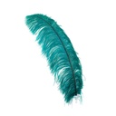 B825--TE #5 shopify:43693745832187