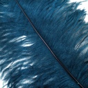 B825--TE #7 shopify:43693747273979
