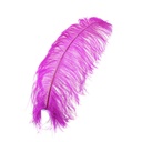 B825--VB #4 shopify:43684677648635