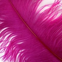 B825--VB #5 shopify:43684677943547