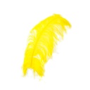 B825--Y #4 shopify:43693726105851