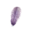 B806--AMT #2 shopify:43693335216379