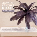 B806--AMT #5 shopify:43693338034427