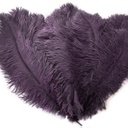 B806--AMT #9 shopify:43693342163195