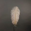 B806--BE #2 shopify:43693287735547