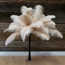 B806--BE #3 shopify:43693288718587