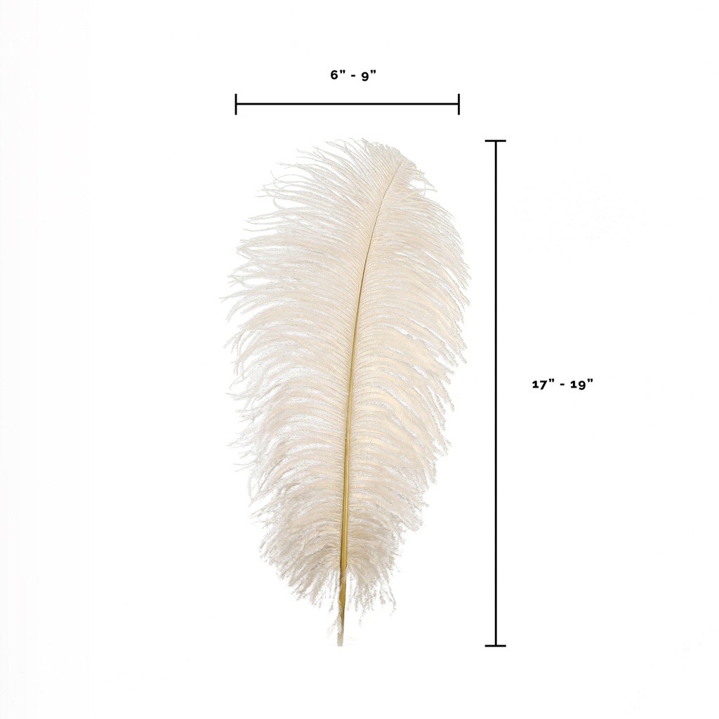 B806--BE #5 shopify:43693290717435