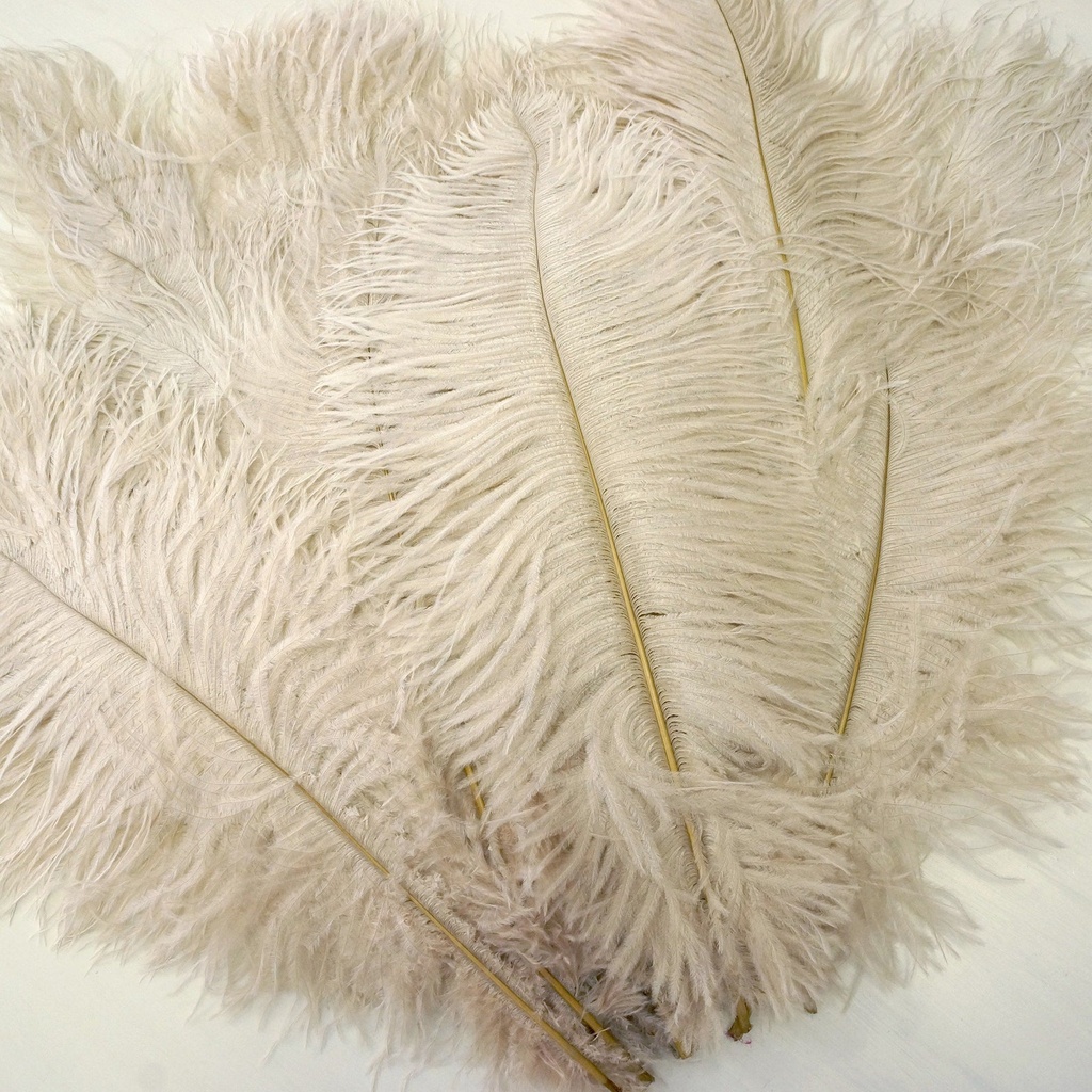 B806--BE #7 shopify:43693292781819