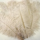 B806--BE #7 shopify:43693292781819