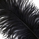 B806--BL #4 shopify:43684643111163