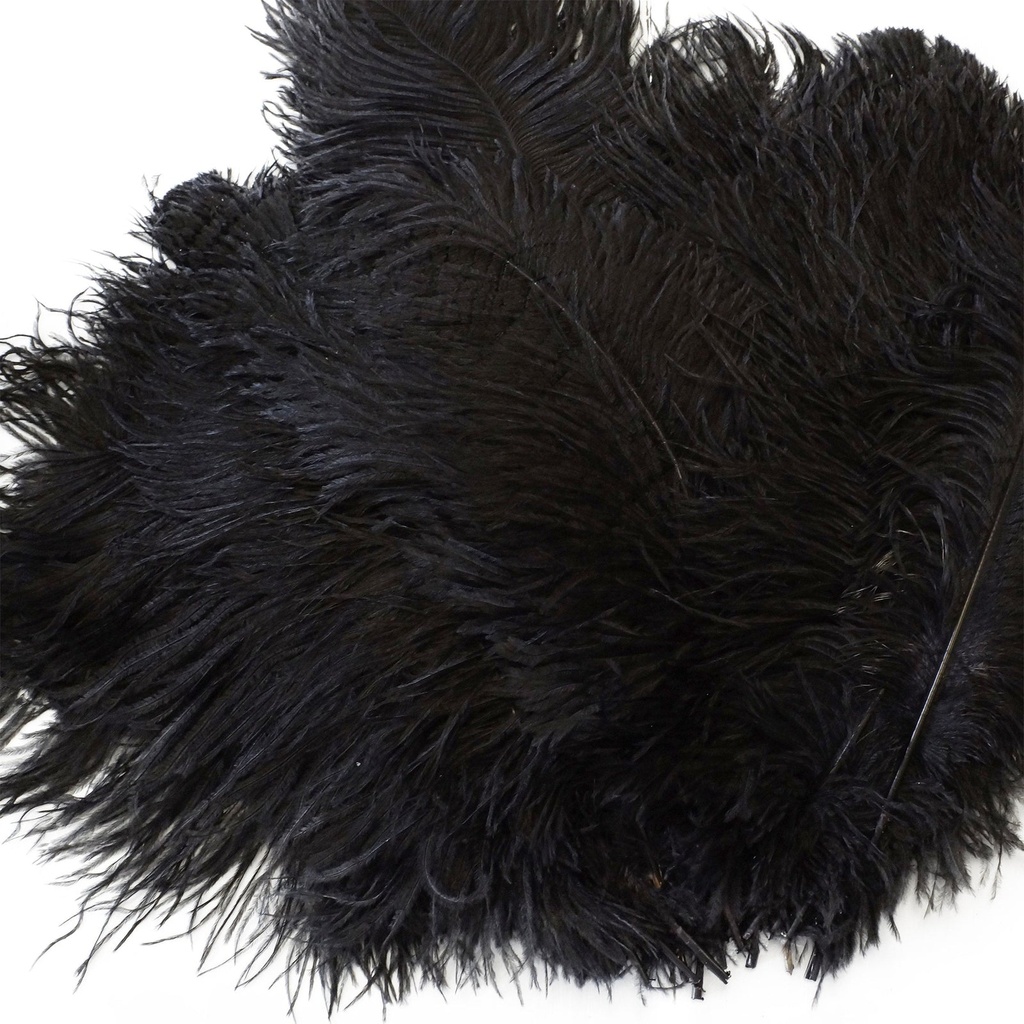 B806--BL #8 shopify:43684645699835