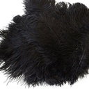 B806--BL #8 shopify:43684645699835