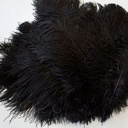 B806--BL #13 shopify:43684648026363