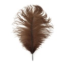 B806--BN #2 shopify:43693497450747