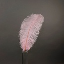 B806--CP #2 shopify:43693432668411