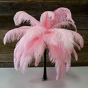 B806--CP #3 shopify:43693433192699