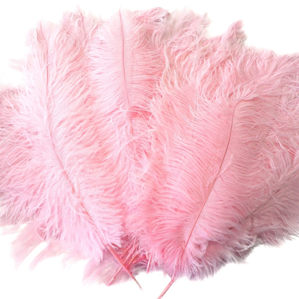 B806--CP #5 shopify:43693434994939