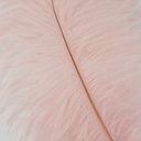 B806--CHP #2 shopify:43693397999867