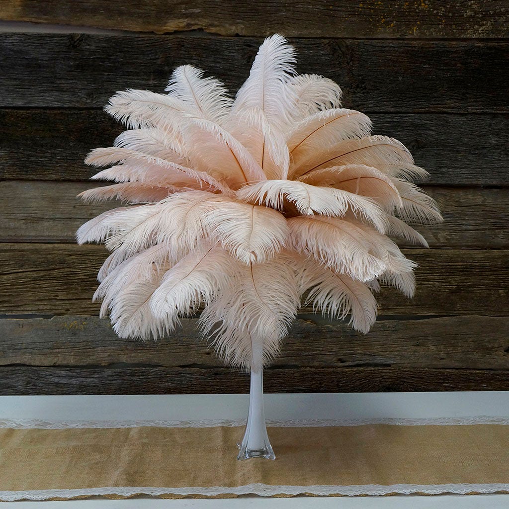 B806--CHP #3 shopify:43693398524155