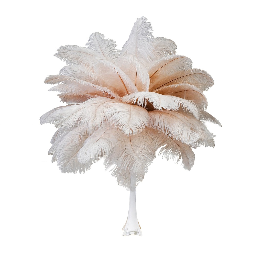 B806--CHP #8 shopify:43693402915067