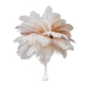 B806--CHP #8 shopify:43693402915067
