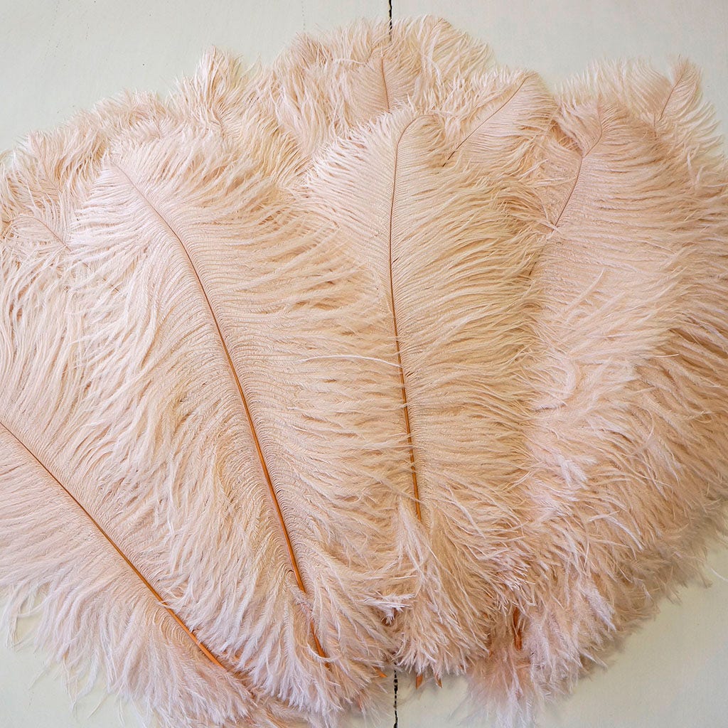 B806--CHP #9 shopify:43693403537659