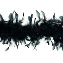 5-SF40--BL #5 shopify:43683680223483