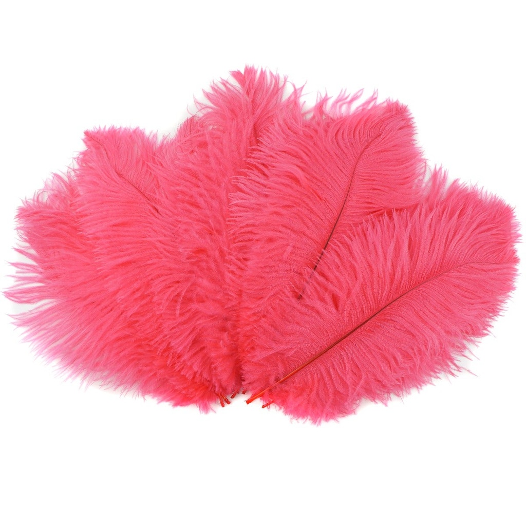 B806--CO #2 shopify:43693463175419