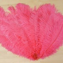 B806--CO #5 shopify:43693465469179