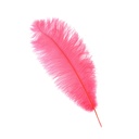 B806--CO #7 shopify:43693467566331