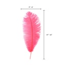 B806--CO #8 shopify:43693468582139