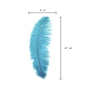 B806--DKA #7 shopify:43693514785019