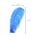 B806--DKT #5 shopify:43693421527291