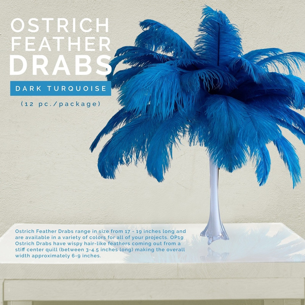 B806--DKT #6 shopify:43693421920507