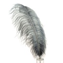 B806--GMG #4 shopify:43693507313915