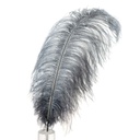B806--GMG #5 shopify:43693508165883