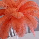 B806--HO #3 shopify:43693490602235