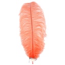 B806--HO #4 shopify:43693491716347
