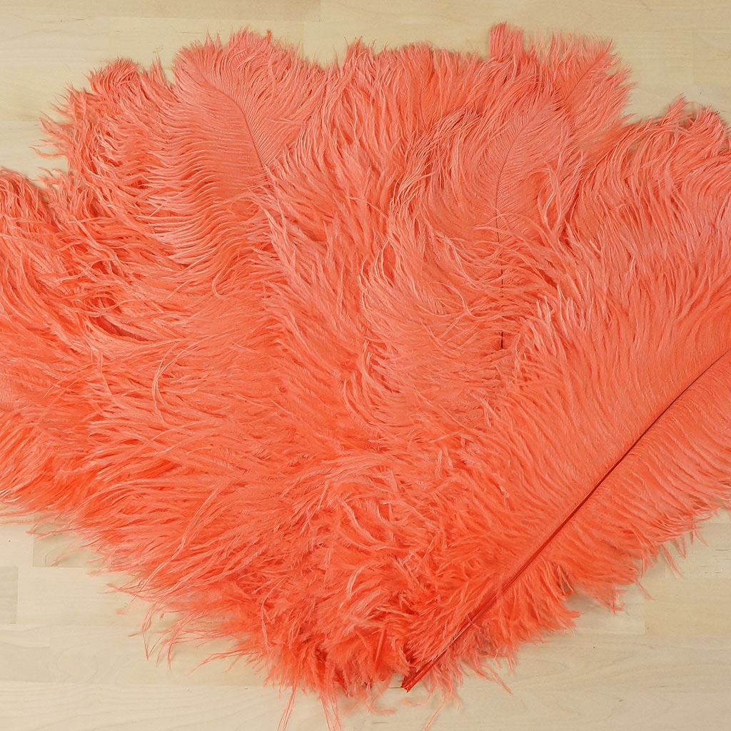 B806--HO #5 shopify:43693492666619