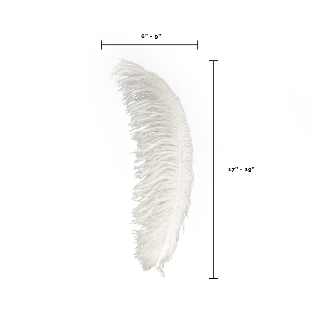 B806--IV #6 shopify:43693521862907