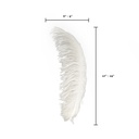 B806--IV #6 shopify:43693521862907