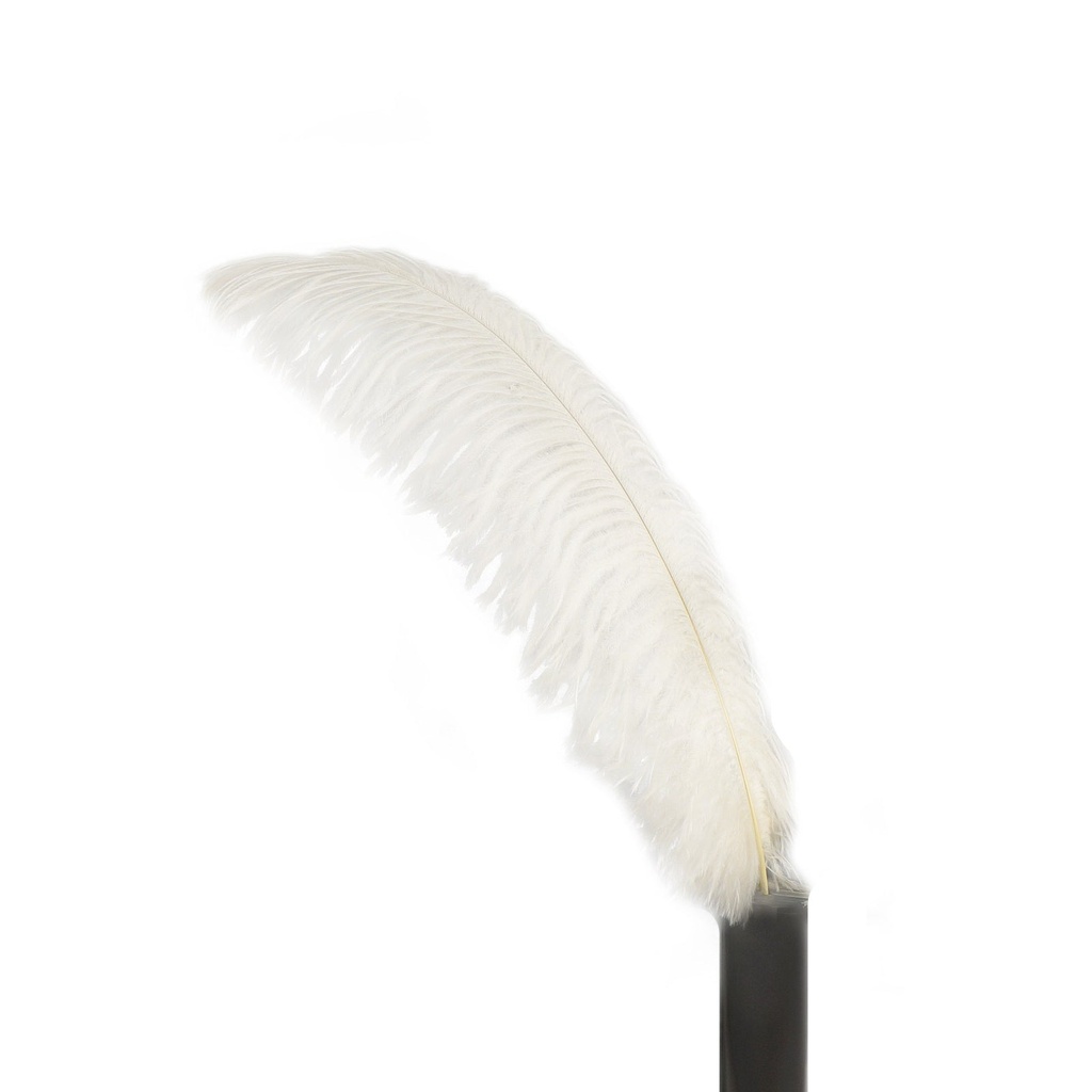 B806--IV #10 shopify:43693525958907