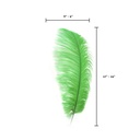 B806--K #7 shopify:43693534118139