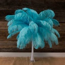 B806--LT #3 shopify:43693566984443