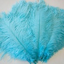 B806--LT #5 shopify:43693567934715