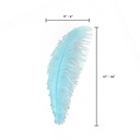 B806--LT #6 shopify:43693568655611