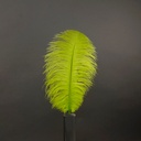 B806--LM #2 shopify:43693546963195