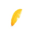 B806--MNG #2 shopify:43693537362171